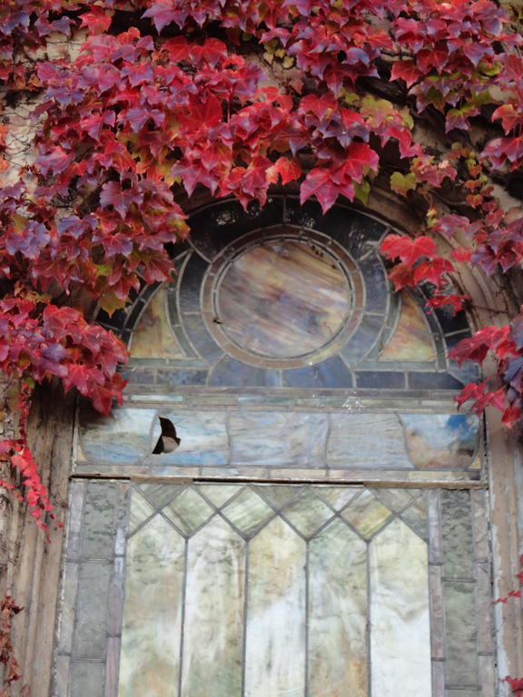 Church Des Artistes Kingston Quarto foto